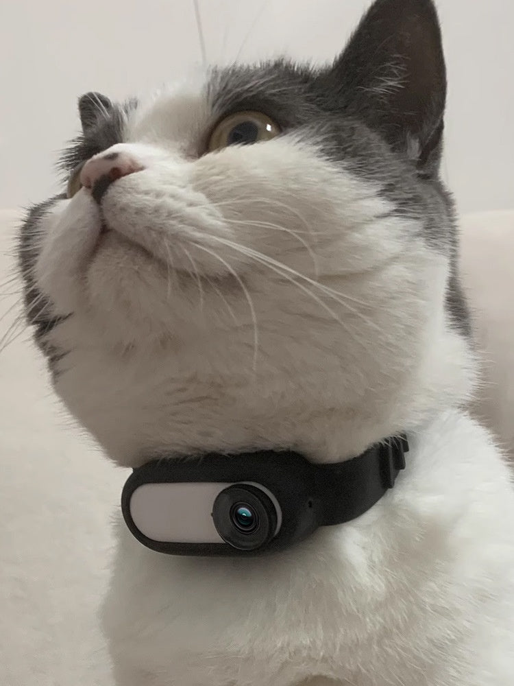Fangshion Pet camera collar