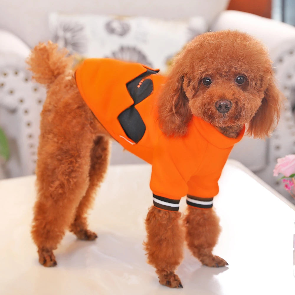 Halloween dog costume - Pet store - Pet shop - Pet store near me