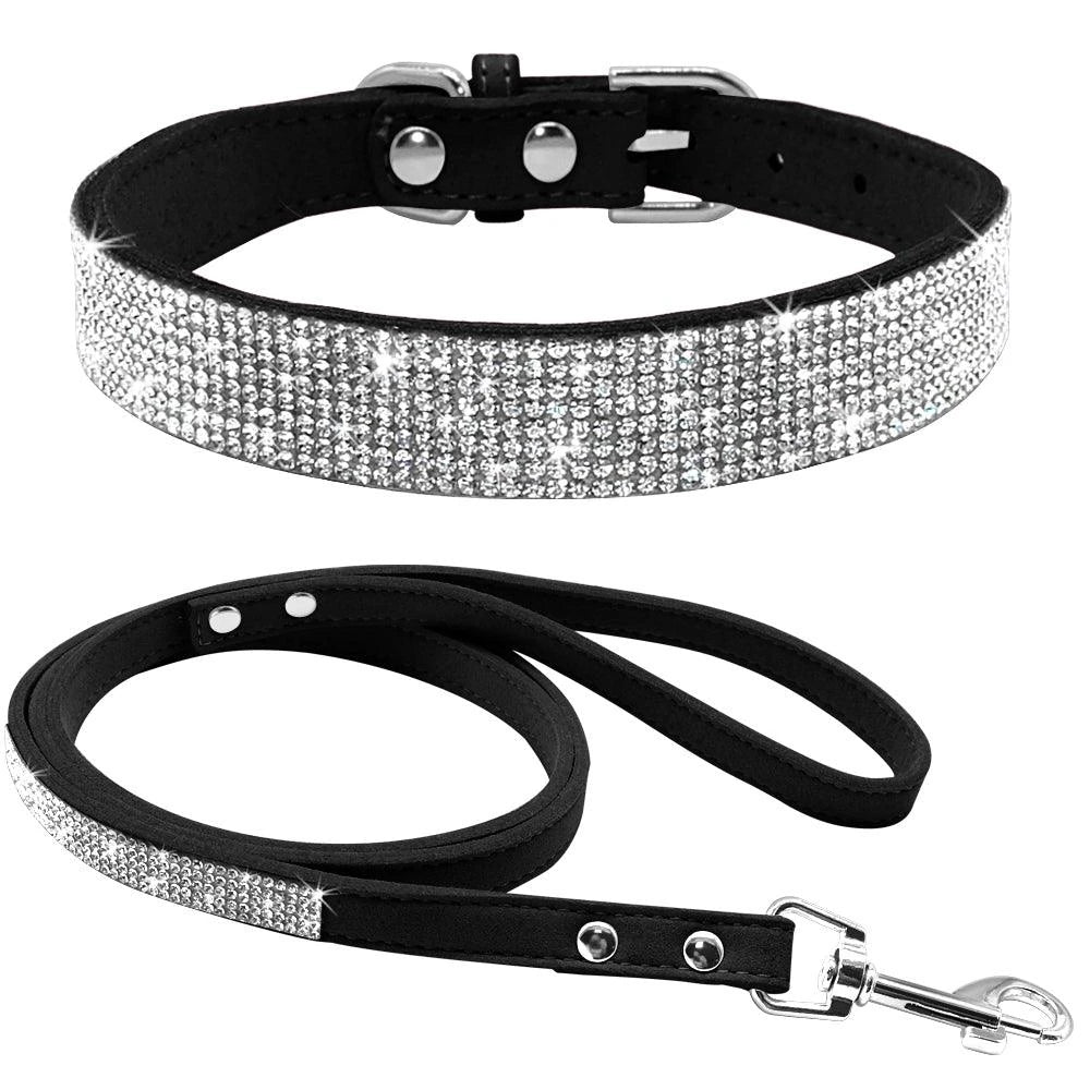 leash collar  - pet shop - pet store - pet store near me