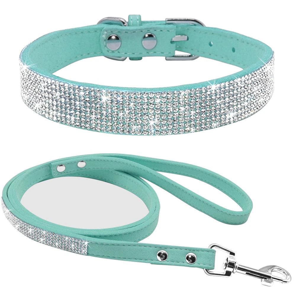 leash collar  - pet shop - pet store - pet store near me