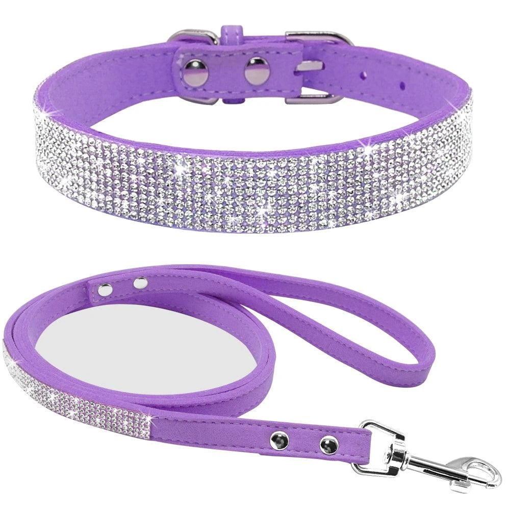 leash collar  - pet shop - pet store - pet store near me