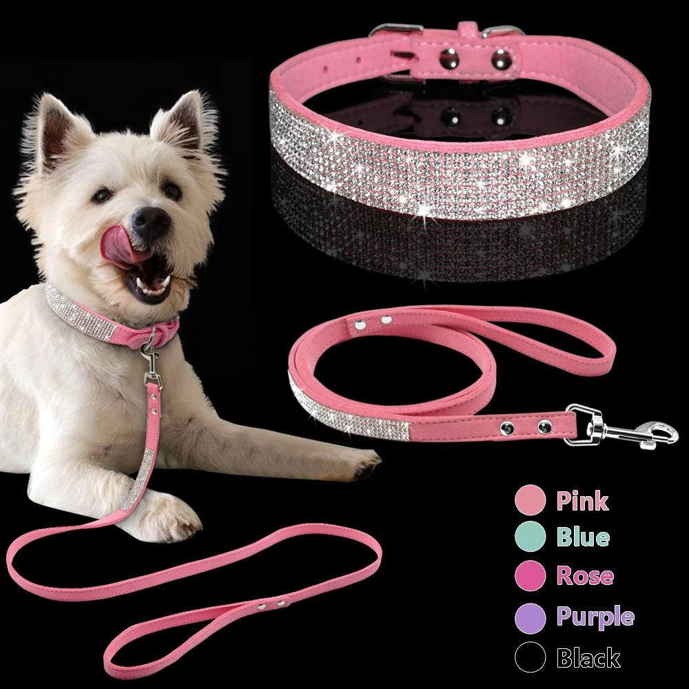 leash collar  - pet shop - pet store - pet store near me