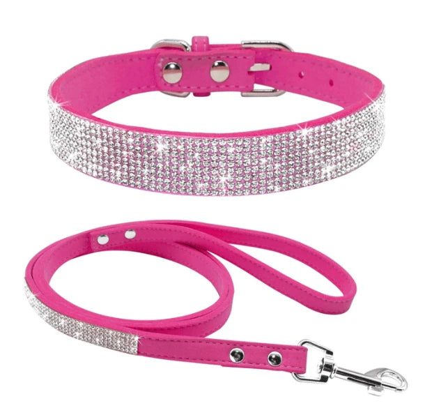 leash collar  - pet shop - pet store - pet store near me