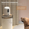 pet automated feeder - pet shop - pet store - pet store near me