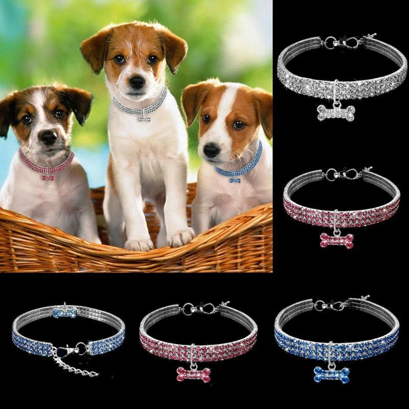 Petcollar - pet shop - pet store - pet store near me