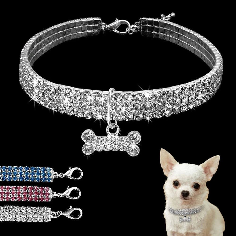 Petcollar - pet shop - pet store - pet store near me