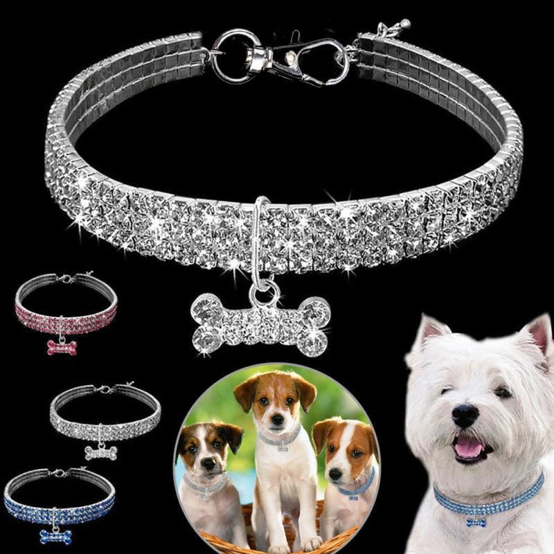 Petcollar - pet shop - pet store - pet store near me