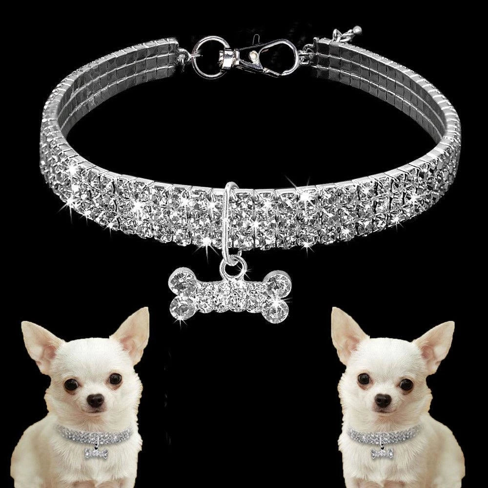 Petcollar - pet shop - pet store - pet store near me