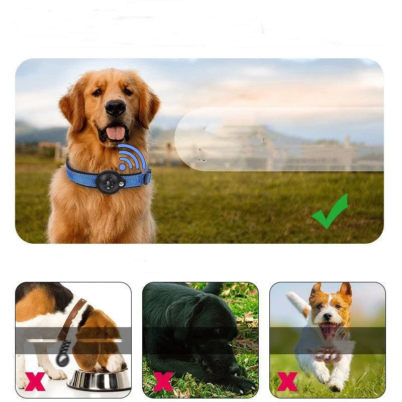 Pet collar for Tracker  - pet shop - pet store - pet store near me