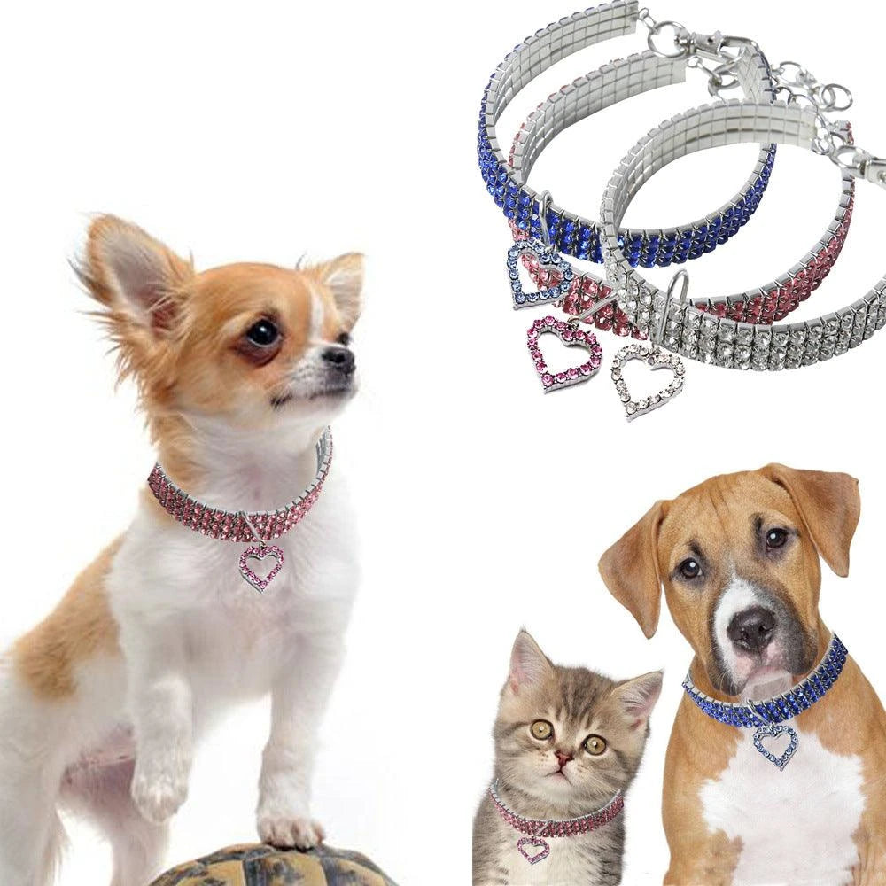 pet necklace - Pet store - Pet shop - Pet store near me