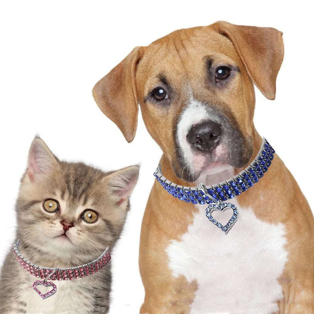 pet necklace - Pet store - Pet shop - Pet store near me