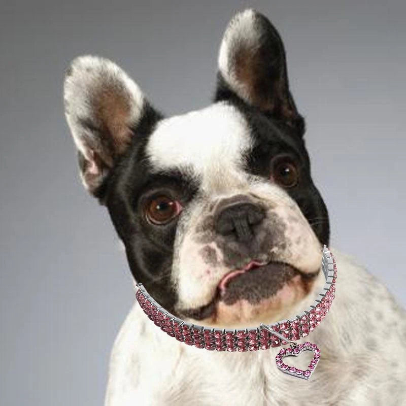 pet necklace - Pet store - Pet shop - Pet store near me