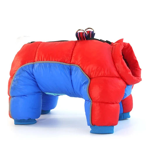 winter dog jacket - pet shop - pet store - pet store near me