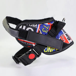 Fangshion Personalized Dog Harness - FANGSHION